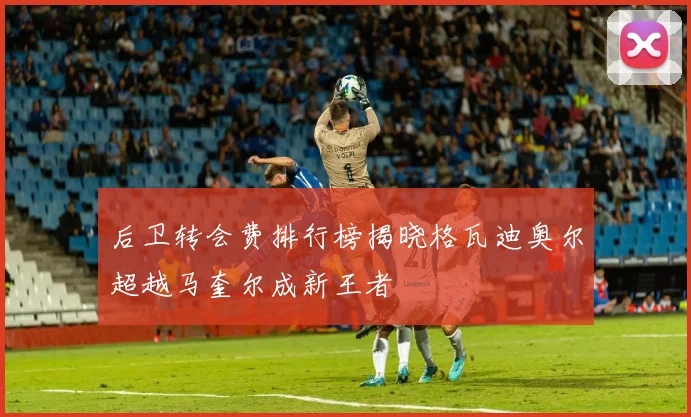 后卫转会费排行榜揭晓格瓦迪奥尔超越马奎尔成新王者
